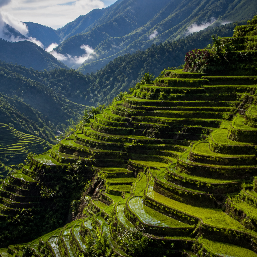 Banaue Rice Terraces